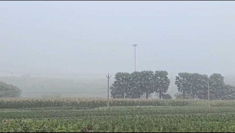 Screenshot_2025-05-28-15-19-57-52_6012fa4d4ddec268fc5c7112cbb265e7