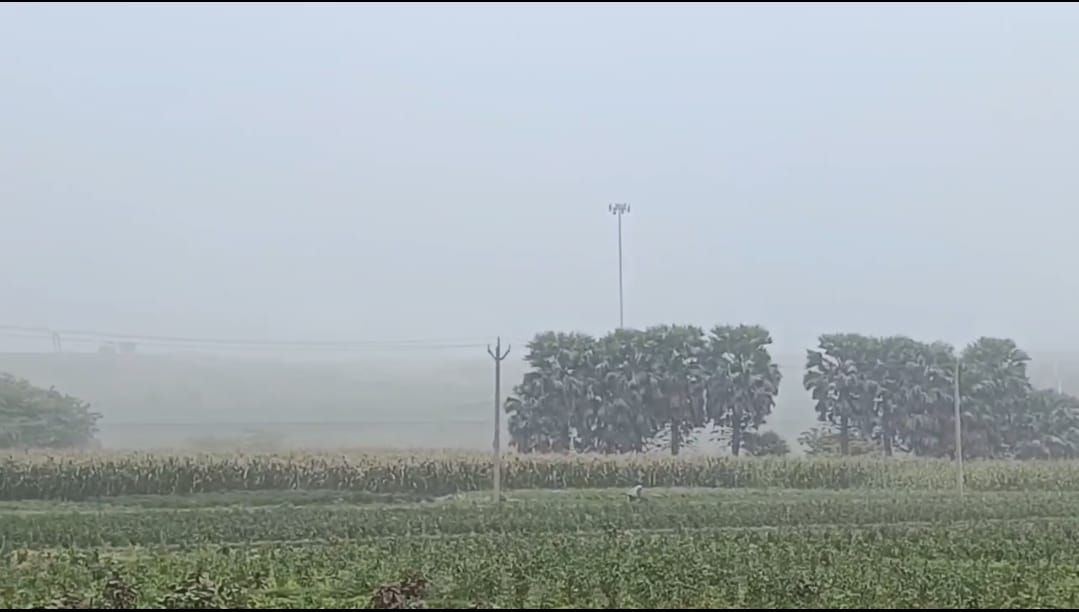 Screenshot_2025-05-28-15-19-57-52_6012fa4d4ddec268fc5c7112cbb265e7