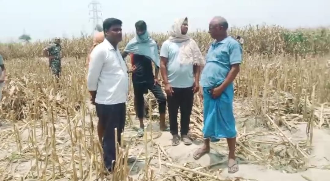 नवगछिया में मकई खेत से बरामद हुआ युवती का शव, इलाके में सनसनी 1 Screenshot_2025-06-03-14-59-55-89_6012fa4d4ddec268fc5c7112cbb265e7