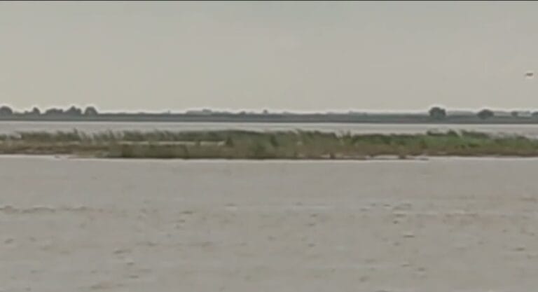 Screenshot_2025-07-29-16-32-56-47_6012fa4d4ddec268fc5c7112cbb265e7