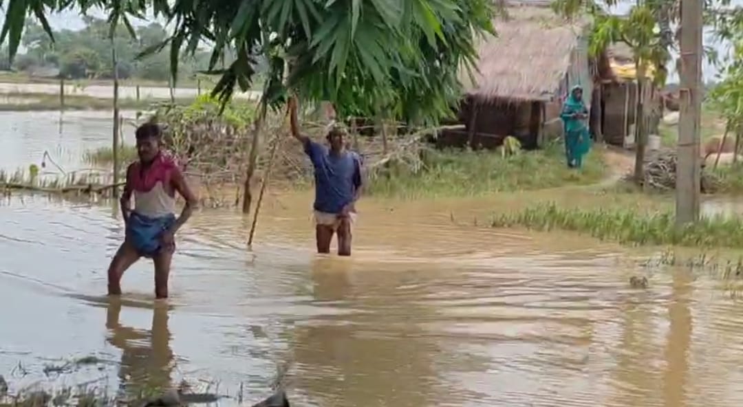 Screenshot_2025-08-04-15-17-06-51_6012fa4d4ddec268fc5c7112cbb265e7