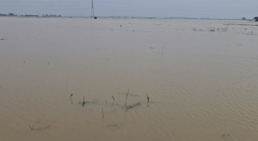 Screenshot_2025-08-06-14-42-58-38_6012fa4d4ddec268fc5c7112cbb265e7