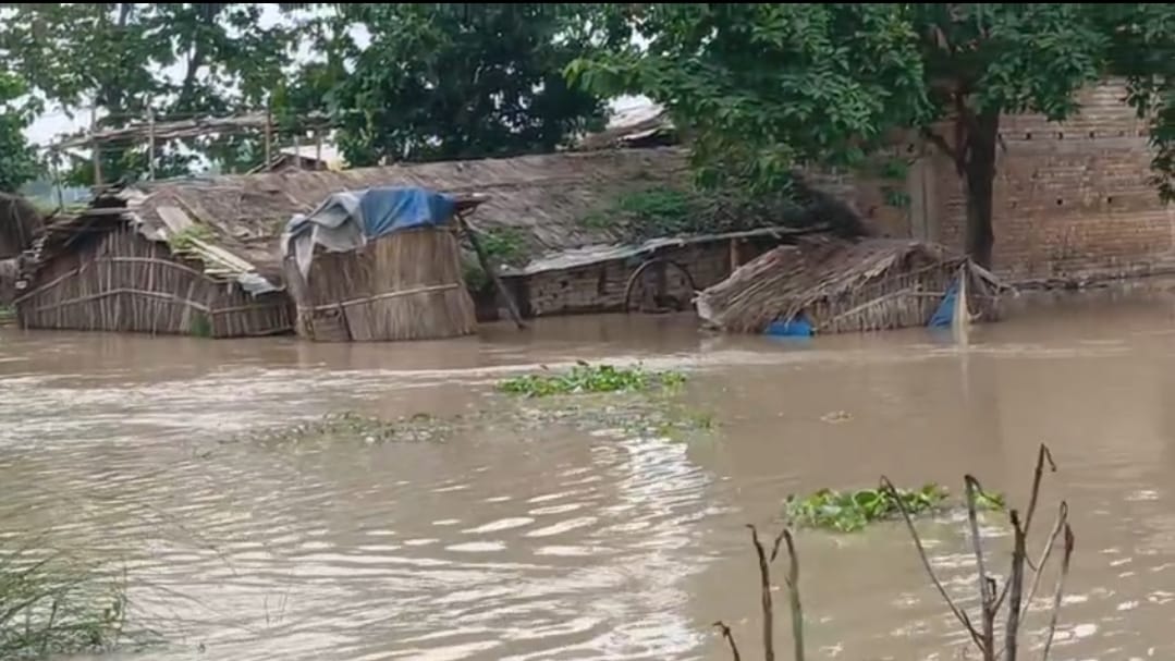 Screenshot_2025-08-08-14-51-12-80_7352322957d4404136654ef4adb64504