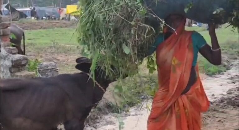 Screenshot_2025-08-10-15-37-58-74_6012fa4d4ddec268fc5c7112cbb265e7