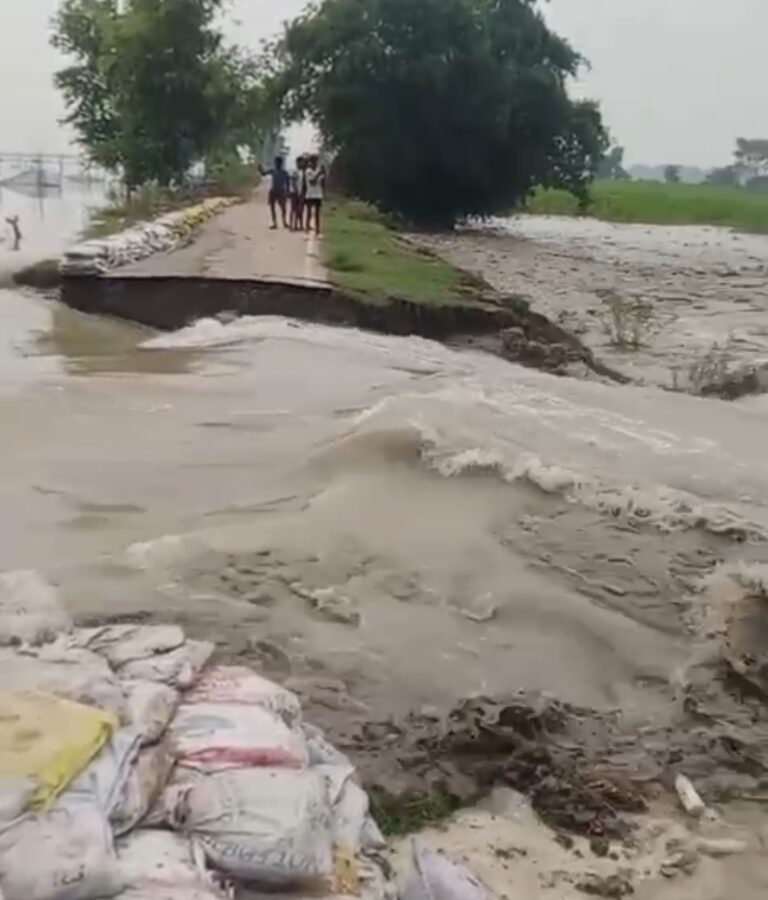 Screenshot_2025-08-12-14-02-31-74_7352322957d4404136654ef4adb64504