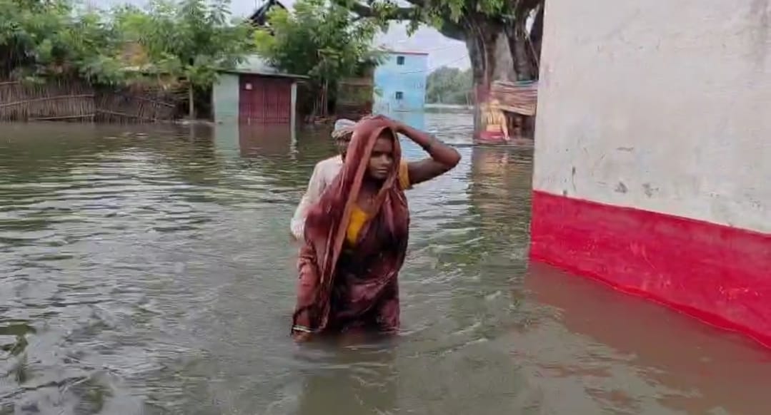 Screenshot_2025-08-15-14-22-12-30_6012fa4d4ddec268fc5c7112cbb265e7