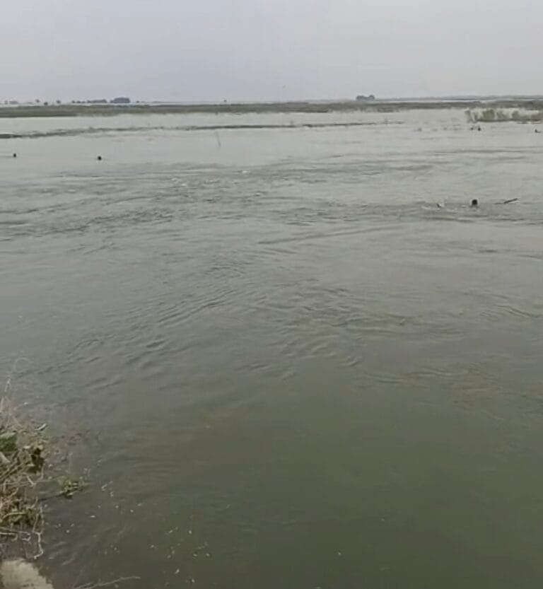 Screenshot_2025-08-21-16-12-24-39_6012fa4d4ddec268fc5c7112cbb265e7