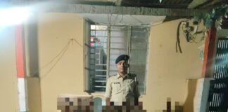 भागलपुर पुलिस की बड़ी कार्रवाई: लोदीपुर में 324 लीटर विदेशी शराब के साथ पिकअप वैन जब्त