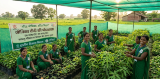 हरित जीविका, हरित बिहार: पर्यावरण की रक्षक बनीं जीविका दीदियां, 6 साल में रोपे 4 करोड़ पौधे