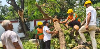 पटना में आंधी का कहर: युद्धस्तर पर राहत कार्य जारी, SDRF और निगम की टीमें सड़कों पर; हेल्पलाइन नंबर जारी