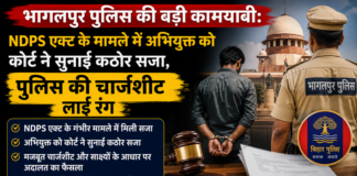 भागलपुर: NDPS एक्ट के मामले में अभियुक्त को कोर्ट ने सुनाई कठोर सजा, पुलिस की चार्जशीट लाई रंग